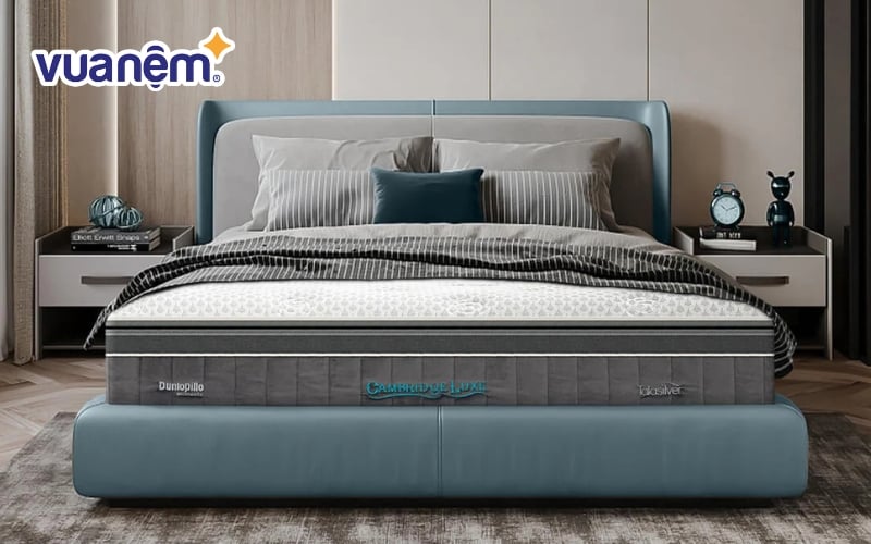Nệm lò xo phân khúc cao cấp Dunlopillo Cambridge Deluxe