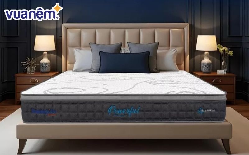 Nệm cho người dễ dị ứng Dunlopillo de.Stress Powerful