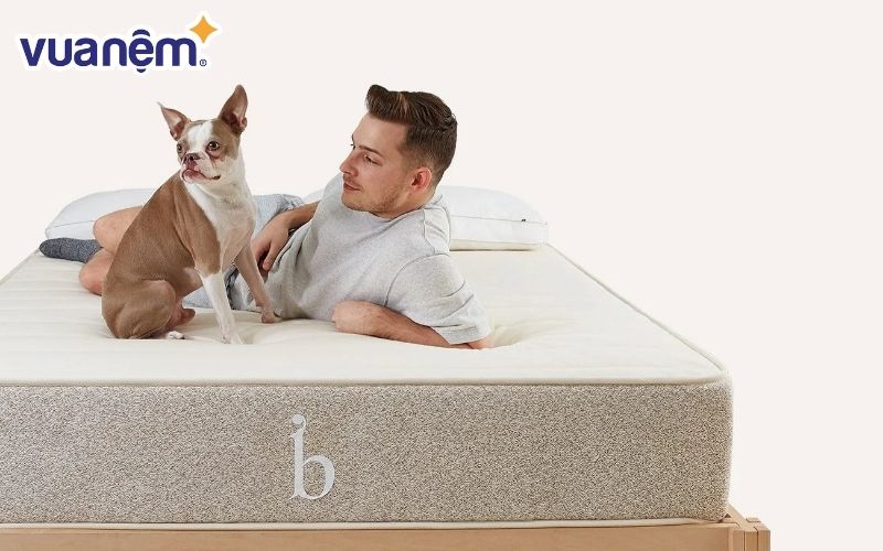 Chọn nệm cho người dễ dị ứng của những thương hiệu lớn