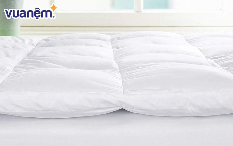 Lông vũ tự nhiên được coi là nguyên liệu cao cấp trong sản xuất chăn ga gối nệm