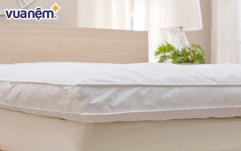 Mỗi loại topper lông vũ nhân tạo và tự nhiên đều có những ưu điểm riêng phù hợp với từng nhu cầu sử dụng