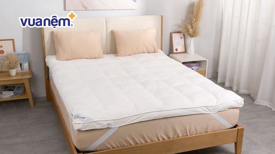 Topper lông vũ là gì? Nên mua Topper lông vũ loại nào tốt?