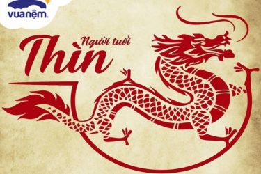 tử vi tuổi thin