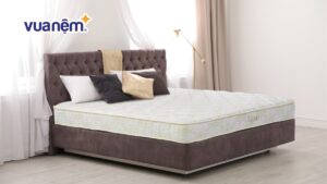 Cập nhật bảng giá đệm Hanvico cập nhật năm 2025
