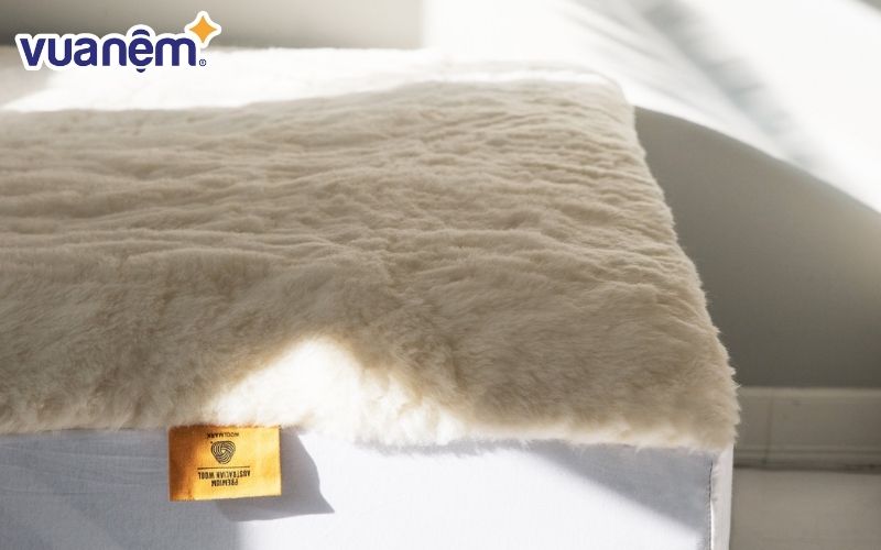 Sử dụng chăn lông cừu giúp bảo vệ môi trường