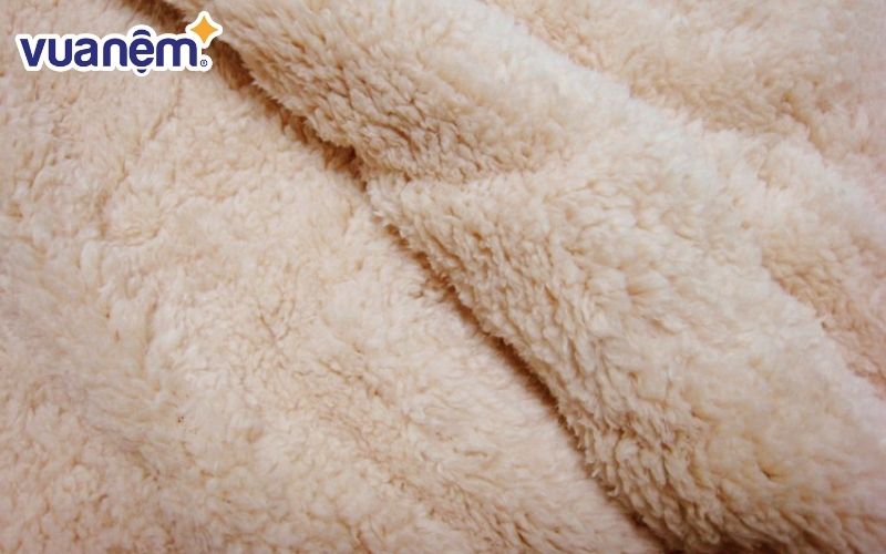 Chăn lông cừu Úc vô cùng phổ biến