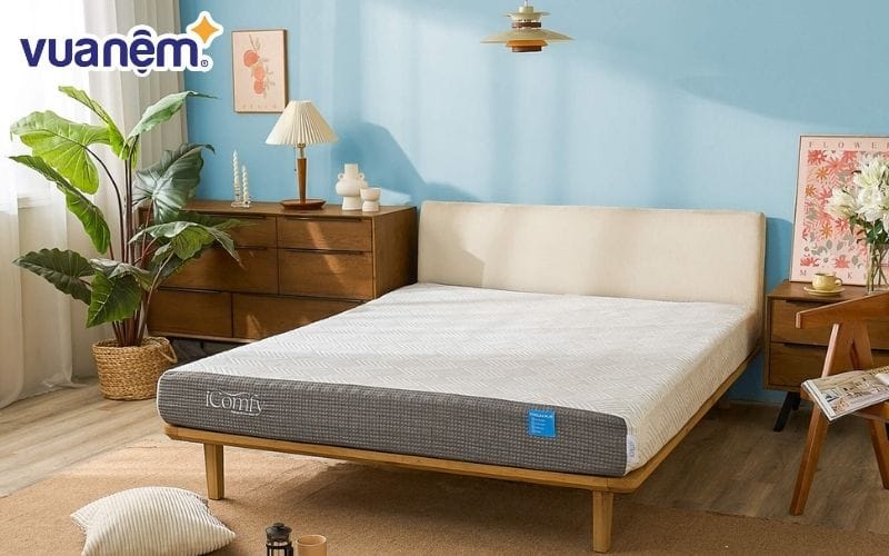 Giấc ngủ chỉ thực sự trọn vẹn khi bạn kết hợp cùng chăn ga gối nệm chất lượng