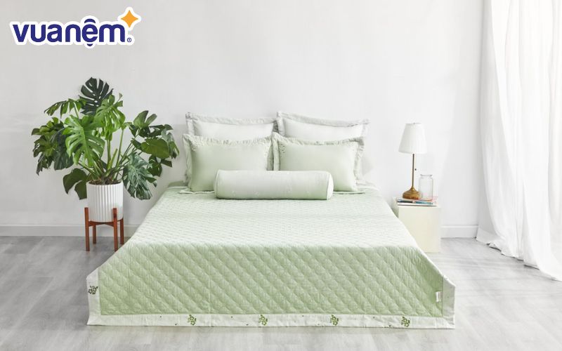 Thông tin về thương hiệu nệm Everon