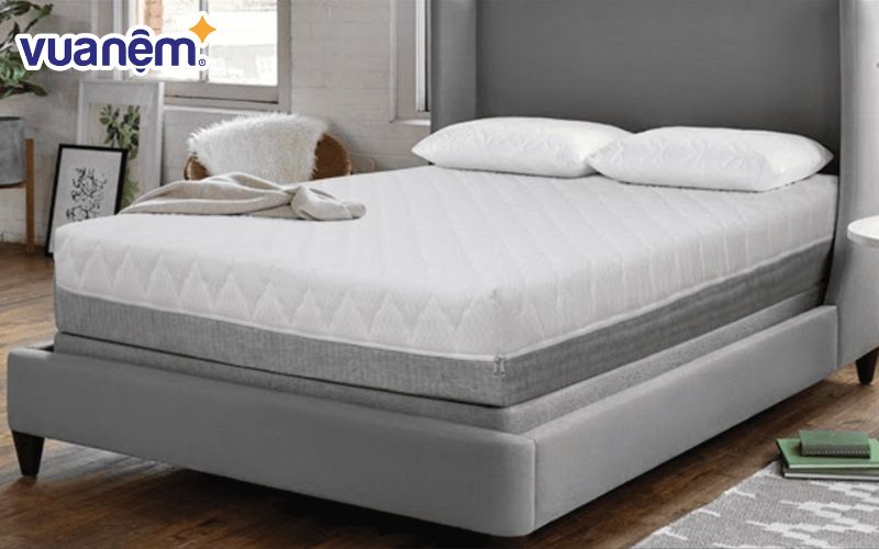 Đệm cao su Everon Latex Spinecare