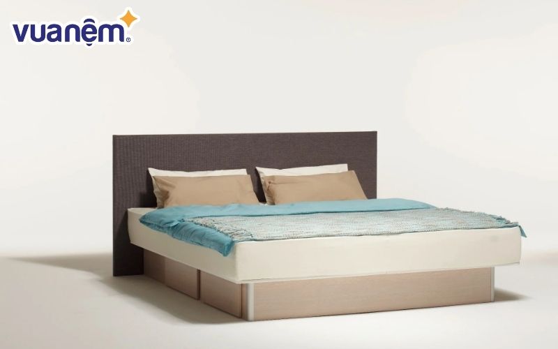 Những ưu điểm và nhược điểm của đệm nước