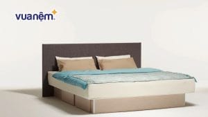 Đệm nước là đệm gì? Một số đệm nước cho người bệnh phổ biến