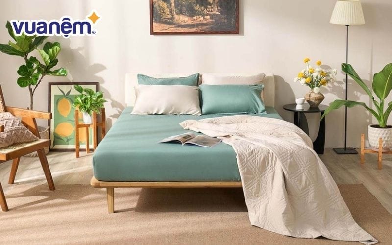 Môi trường ngủ lý tưởng là bí quyết của một giấc ngủ ngon