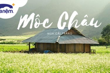 kinh nghiệm du lịch mộc châu