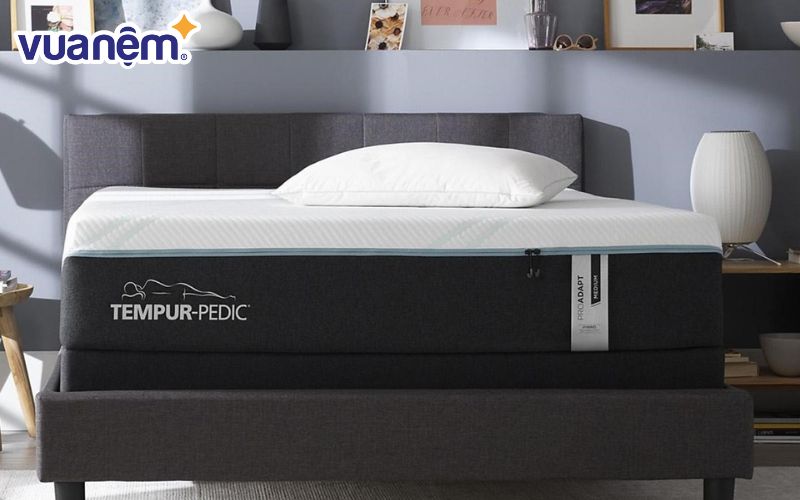 Chú ý chất lượng nệm King size, nệm Queen size khi mua