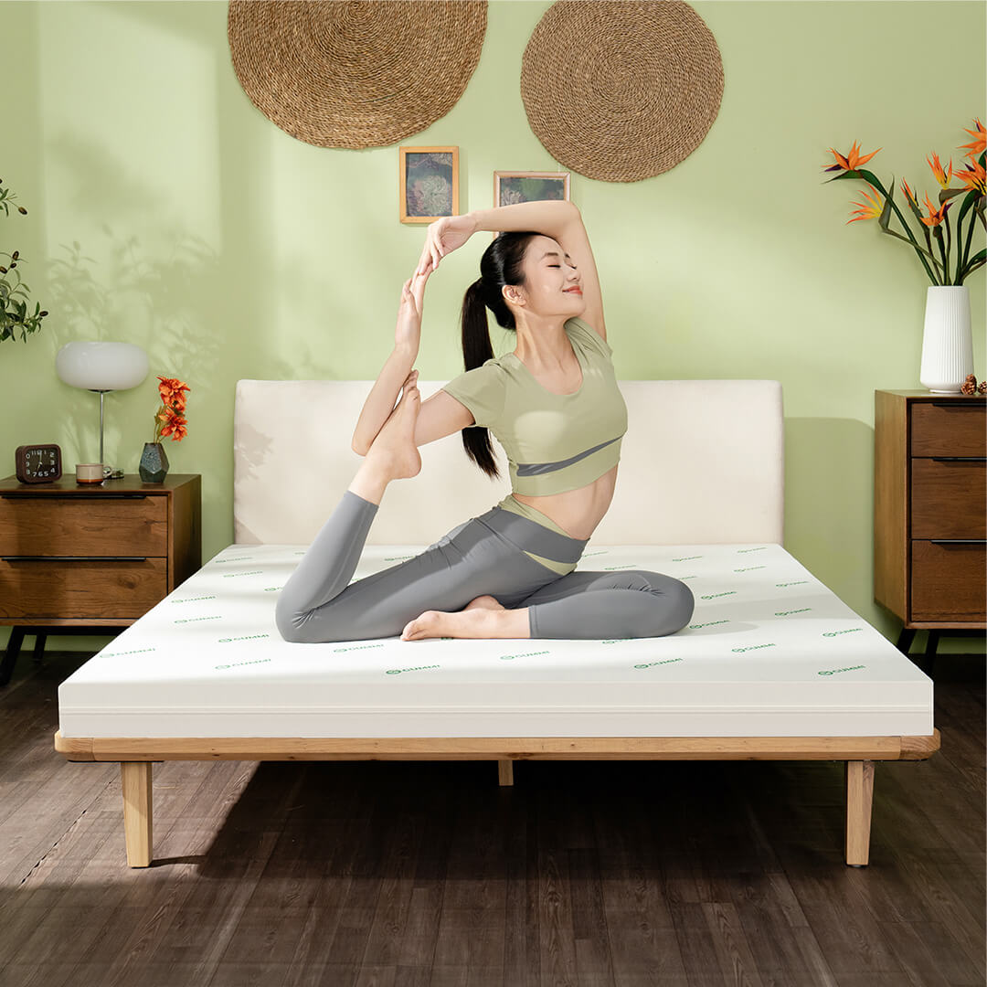 Nệm cao su foam Gummi Lite