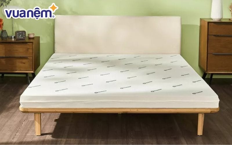 Nệm cao su foam Gummi Lite