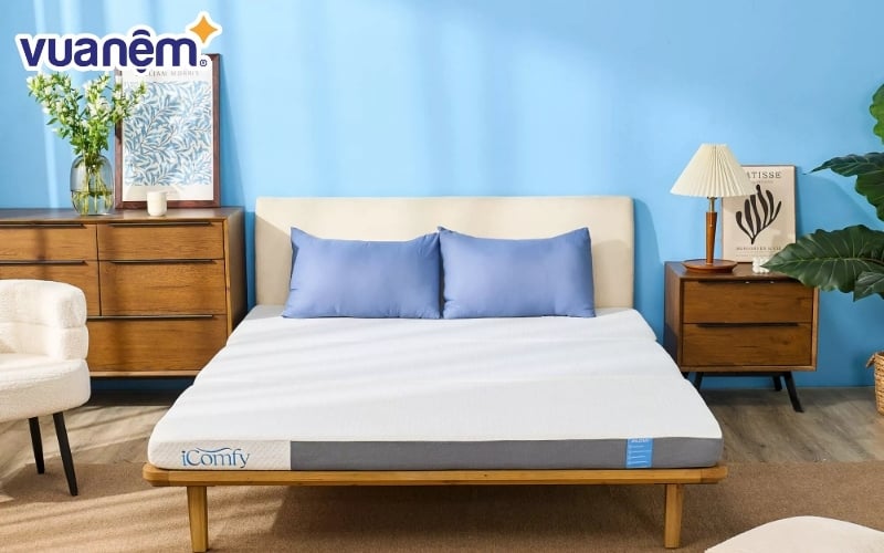 Nệm iComfy được nhiều người tin chọn
