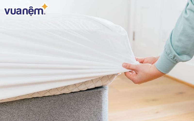 Vải bọc nệm cotton được rất nhiều thương hiệu yêu thích sử dụng cho sản phẩm của mình