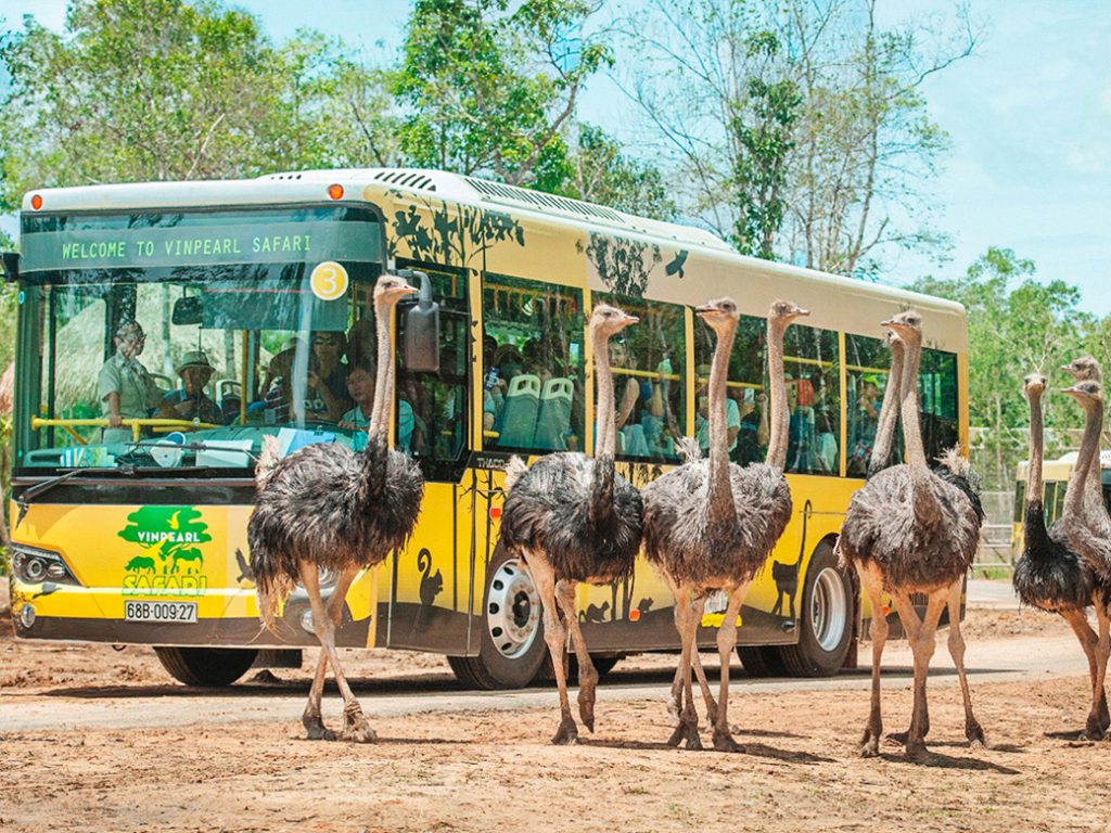 vườn thú Vinpearl Safari