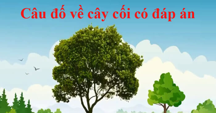 Câu đố vui về cây cối, hoa quả