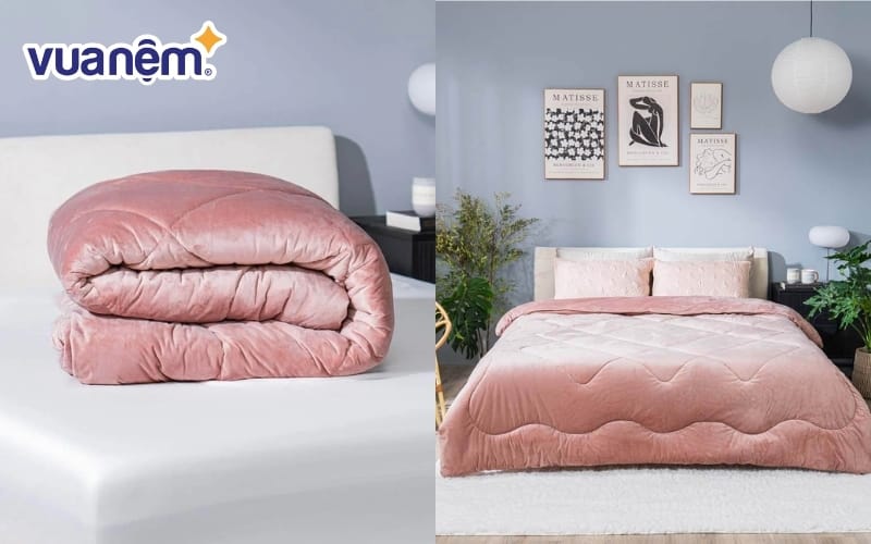 Chăn màu hồng nhung tuyết giữ ấm Amando Warm