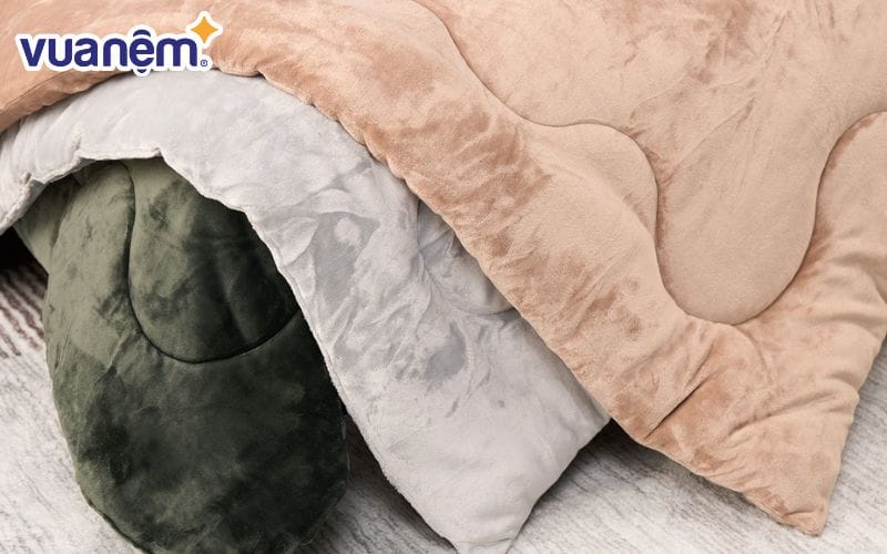 Mệt nhung, chăn nhung có đặc điểm như thế nào?