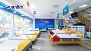 Mua nệm Kim Cương chính hãng ở đâu uy tín, giá tốt?