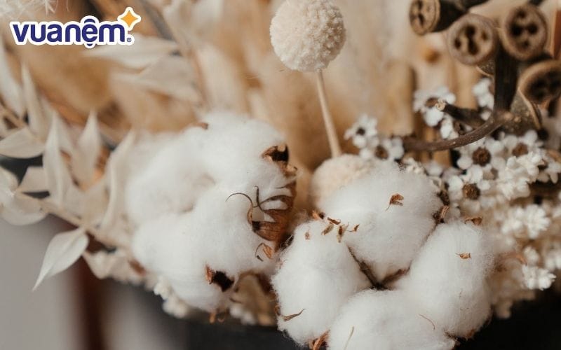Hướng dẫn các cách phân biệt bông gòn vô cùng hiệu quả