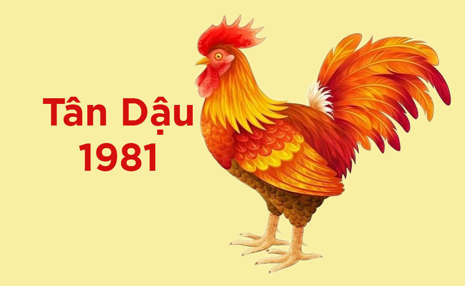 Top 20+ tuổi dậu 1981 hợp màu gì hay nhất, đừng bỏ lỡ 1 Sinh năm 1981 hợp màu gì? Kỵ màu gì? - Vua Nệm