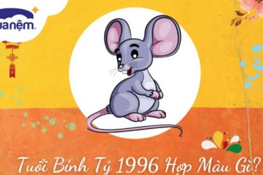 tuổi bính tị 1996 hợp màu gì