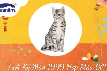 tuổi kỷ mão 1999 hợp màu gì