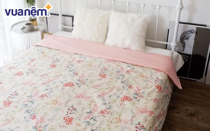 Vỏ chăn Amado Dream cotton lụa có độ bền đẹp, chống mài mòn hiệu quả