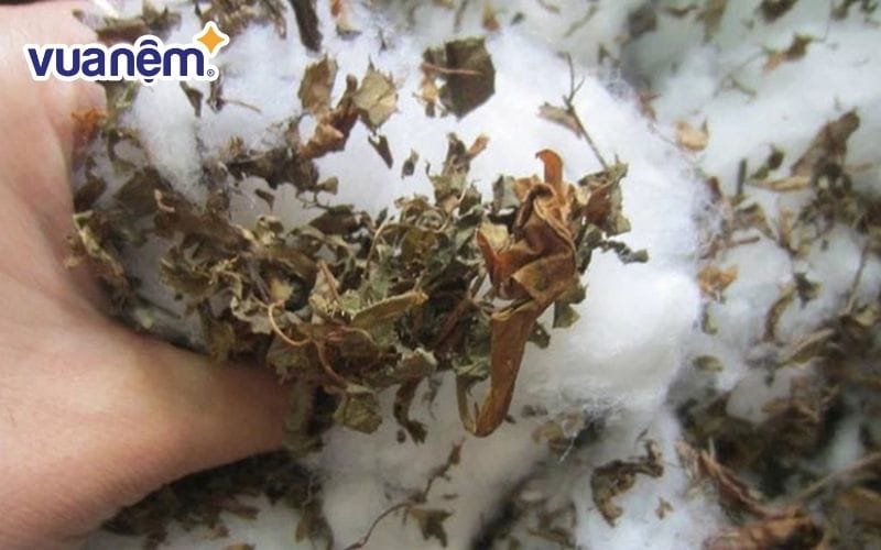 Chuẩn bị các nguyên liệu trước khi làm gối nằm đinh lăng