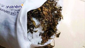 Gối đinh lăng có tốt không? Cách làm gối đinh lăng cho bé