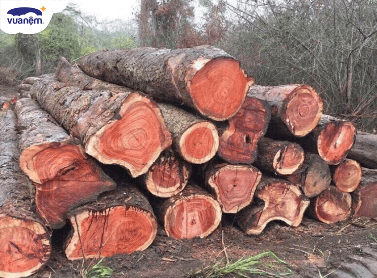 top giường ngủ gỗ hương