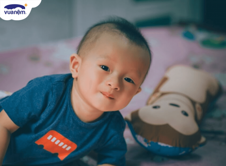 gối ôm hình thú
