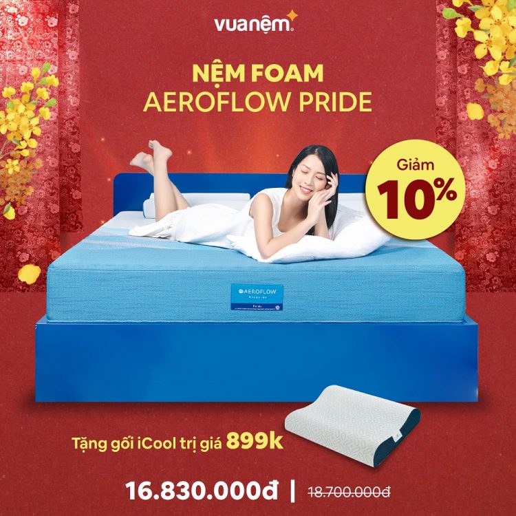 Nệm Foam Aeroflow Pride