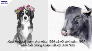 Nam Giáp Tuất (1994) nữ Đinh Sửu (1997) tứ hành xung và cách hóa giải