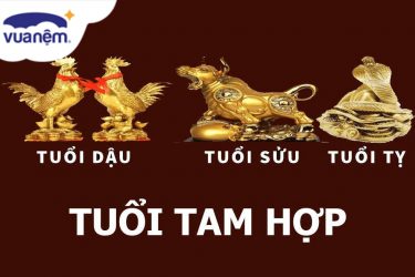 tam hợp tuổi tỵ dậu sửu