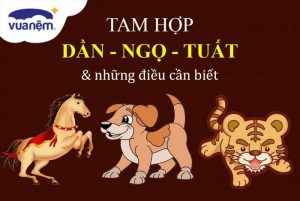 Tam Hợp Dần Ngọ Tuất và những điều bạn nên biết