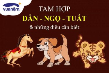 tam hợp dần ngọ tuất