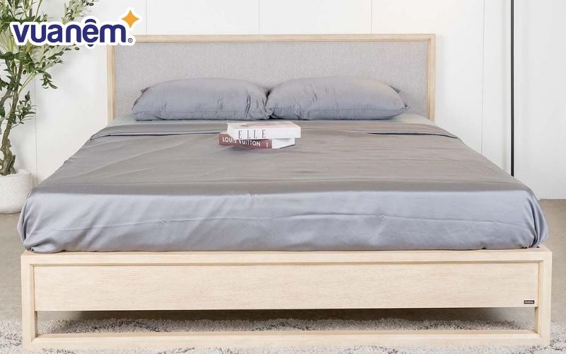 Giường ngủ cao su bọc nệm mang phong cách hiện đại