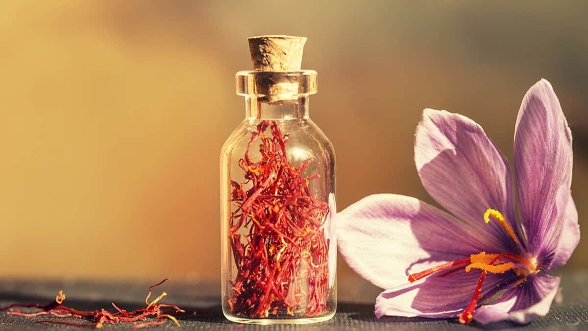 saffron nhụy hoa nghệ tây