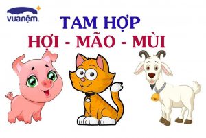 Những điều cần biết về tam hợp tuổi Hợi Mão Mùi