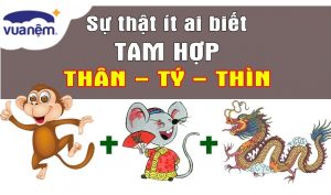 Những điều cần biết về tam hợp tuổi Thân Tý Thìn