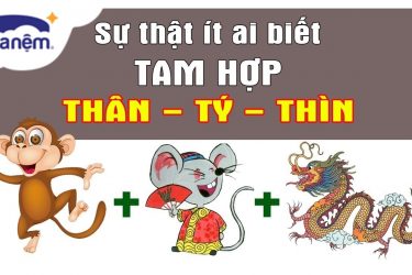 tam hợp tuổi thân tý thìn