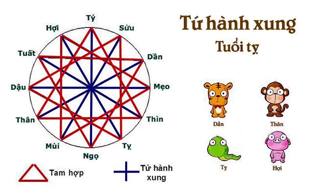 Tuổi Tỵ hợp khắc tuổi nào? Làm thế nào để hóa giải tứ hành xung của tuổi Tỵ?  - Vua Nệm