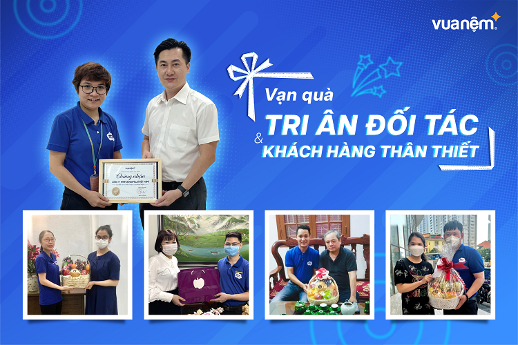 vua nem tri an dai dien