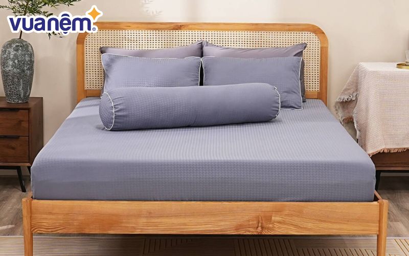 Bộ ga chun polyester gấm Amando Ellie