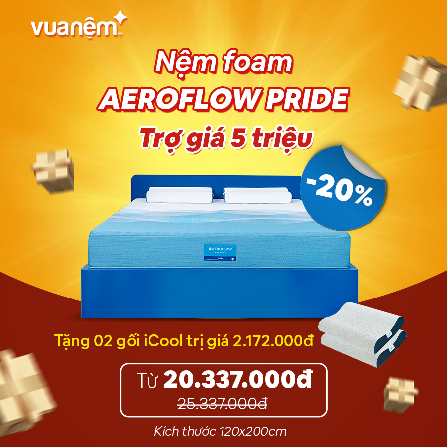 Nệm Foam Aeroflow Pride